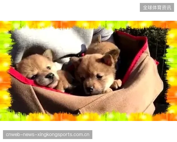 世界冠军晒小时候照片萌翻全场，童年也有无限可能